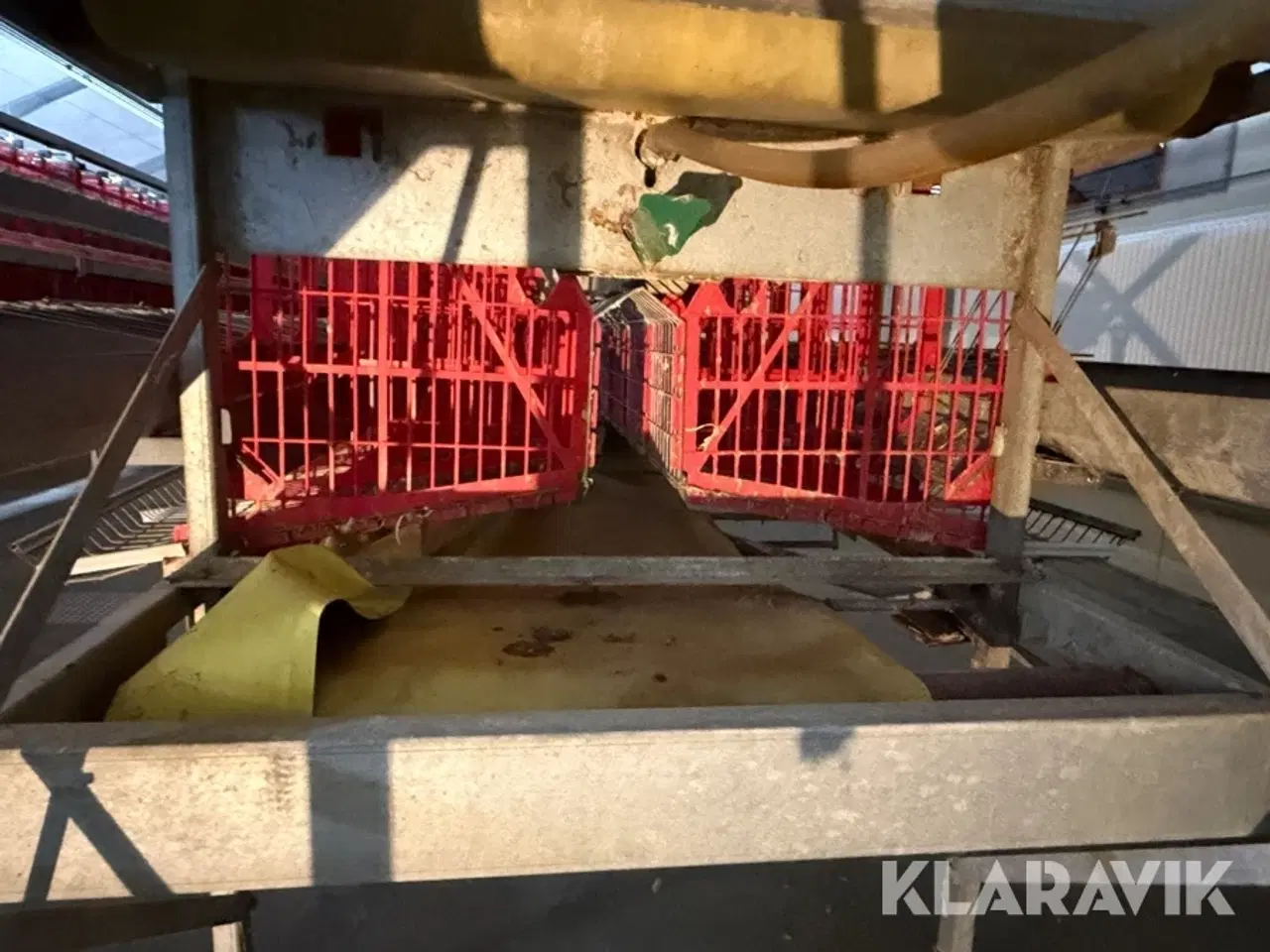 Billede 5 - Produktionslinje Landmeco æglægger system