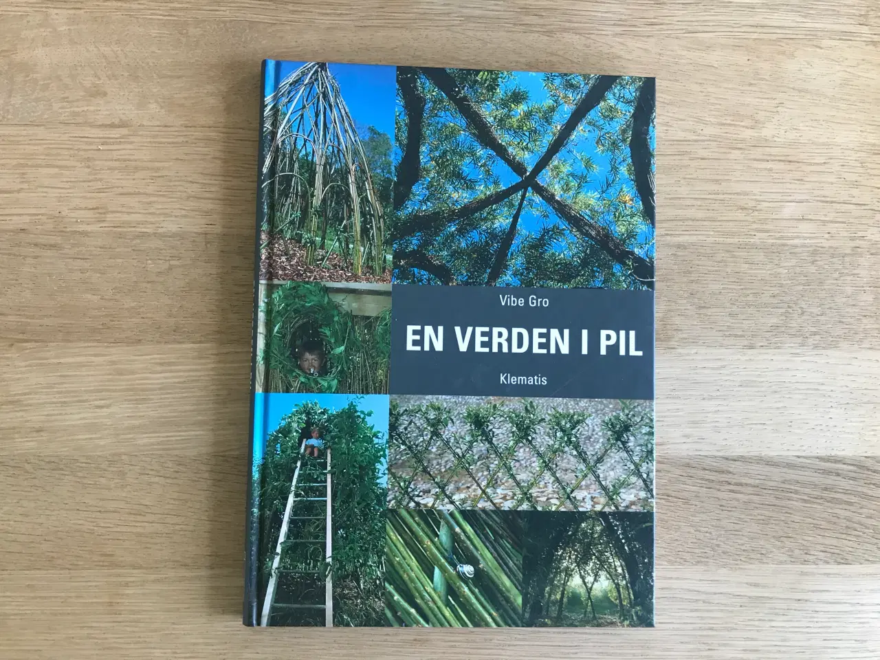 Billede 1 - En verden i pil  af Vibe Gro
