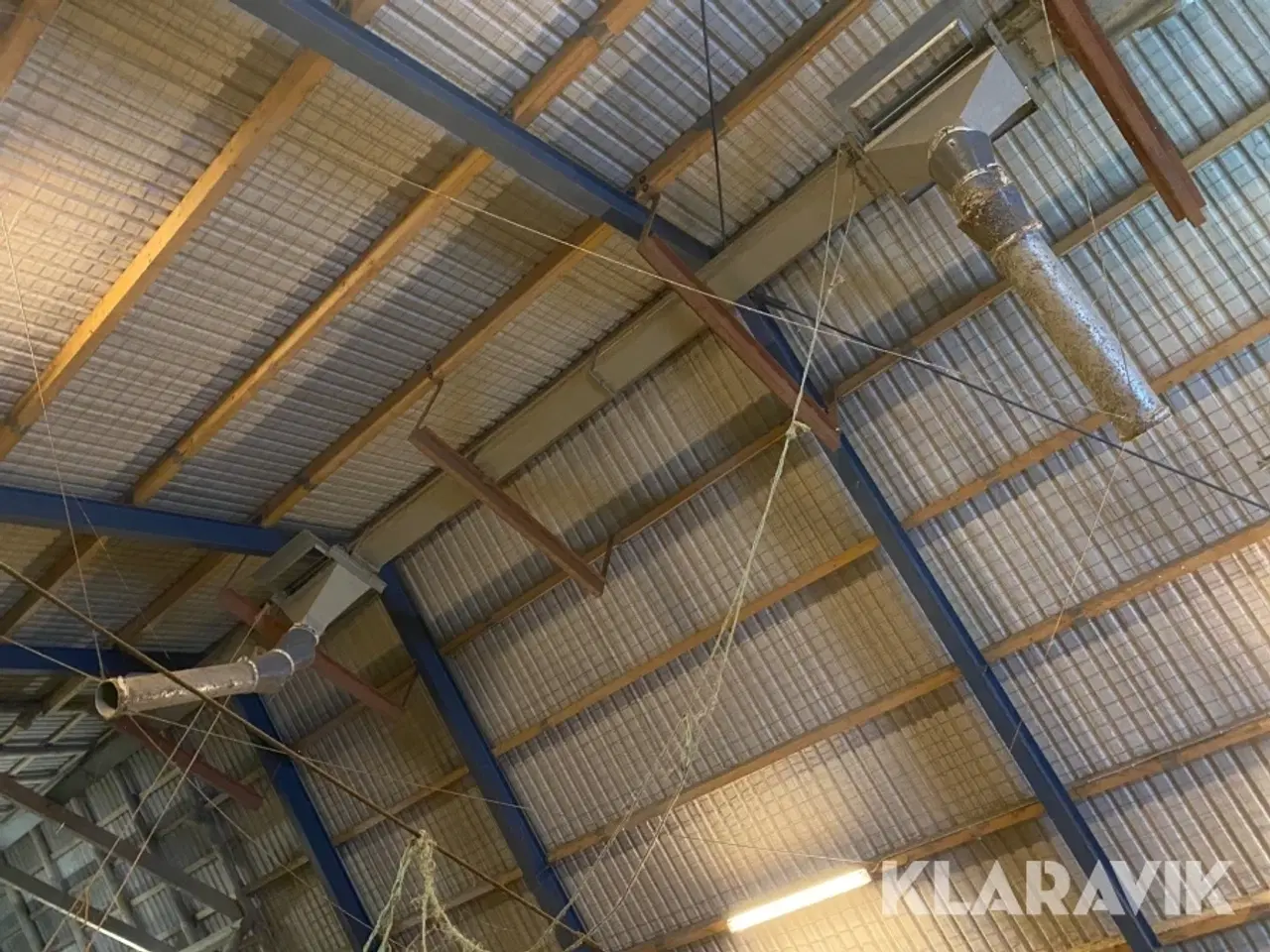 Billede 2 - Kornelevator ? ca 40 tons pr time