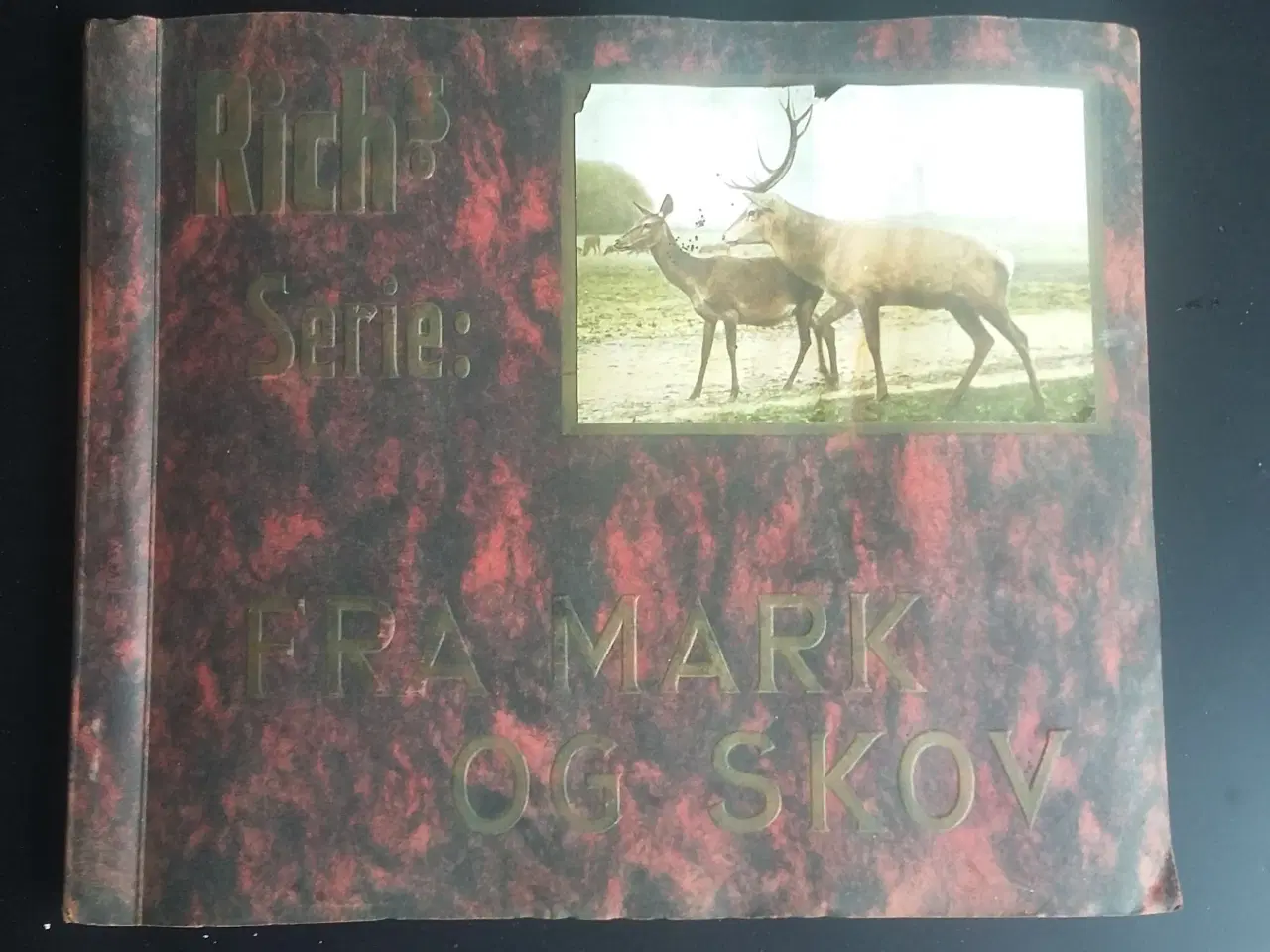 Billede 1 - Richs album Fra Mark og Skov