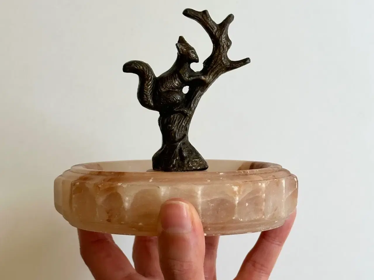 Billede 1 - Skål m egern