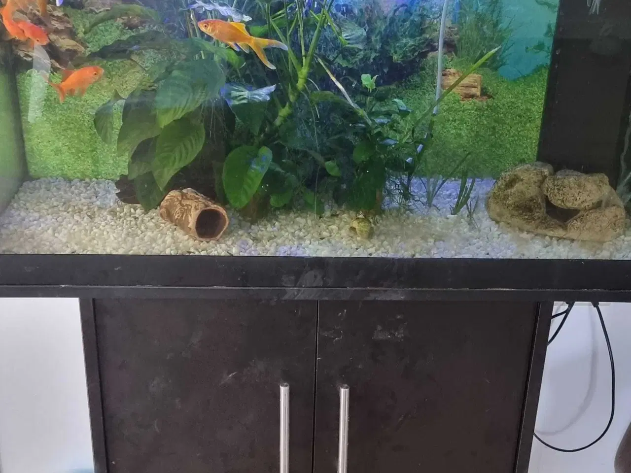 Billede 1 - Juwel akvarie 