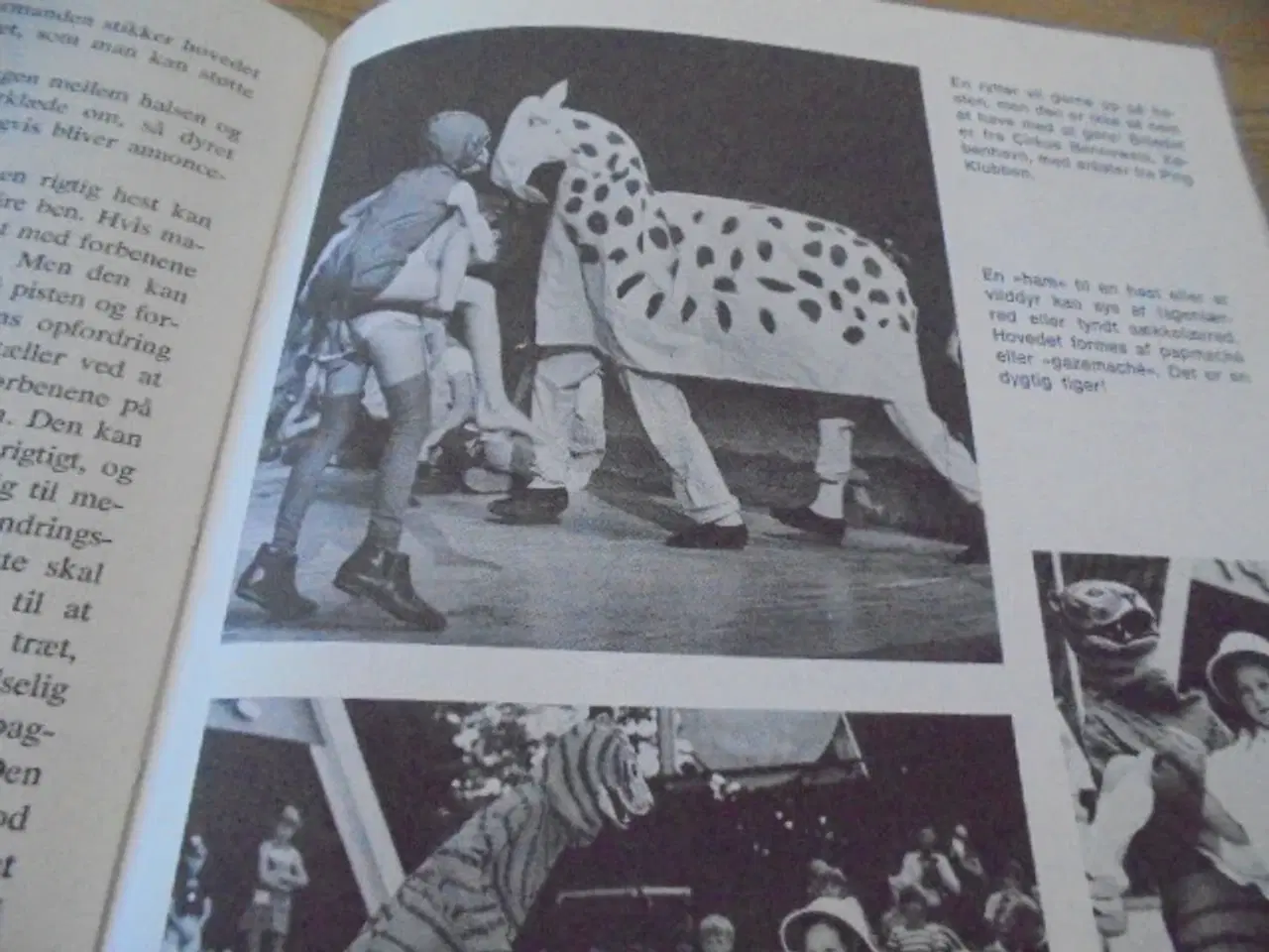 Billede 6 - Vi leger cirkus – Anders Enevig