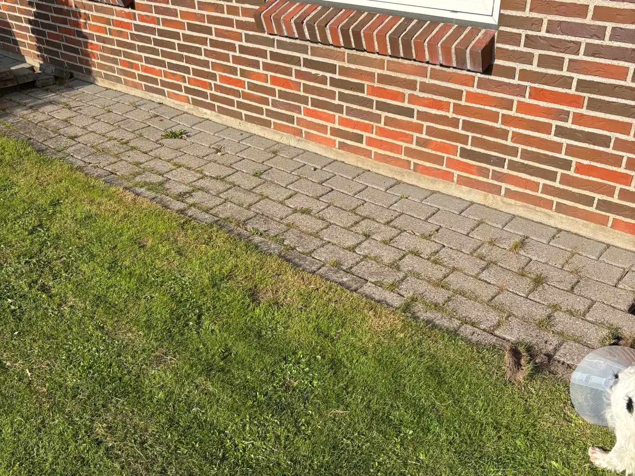 Billede 2 - Gratis fliser
