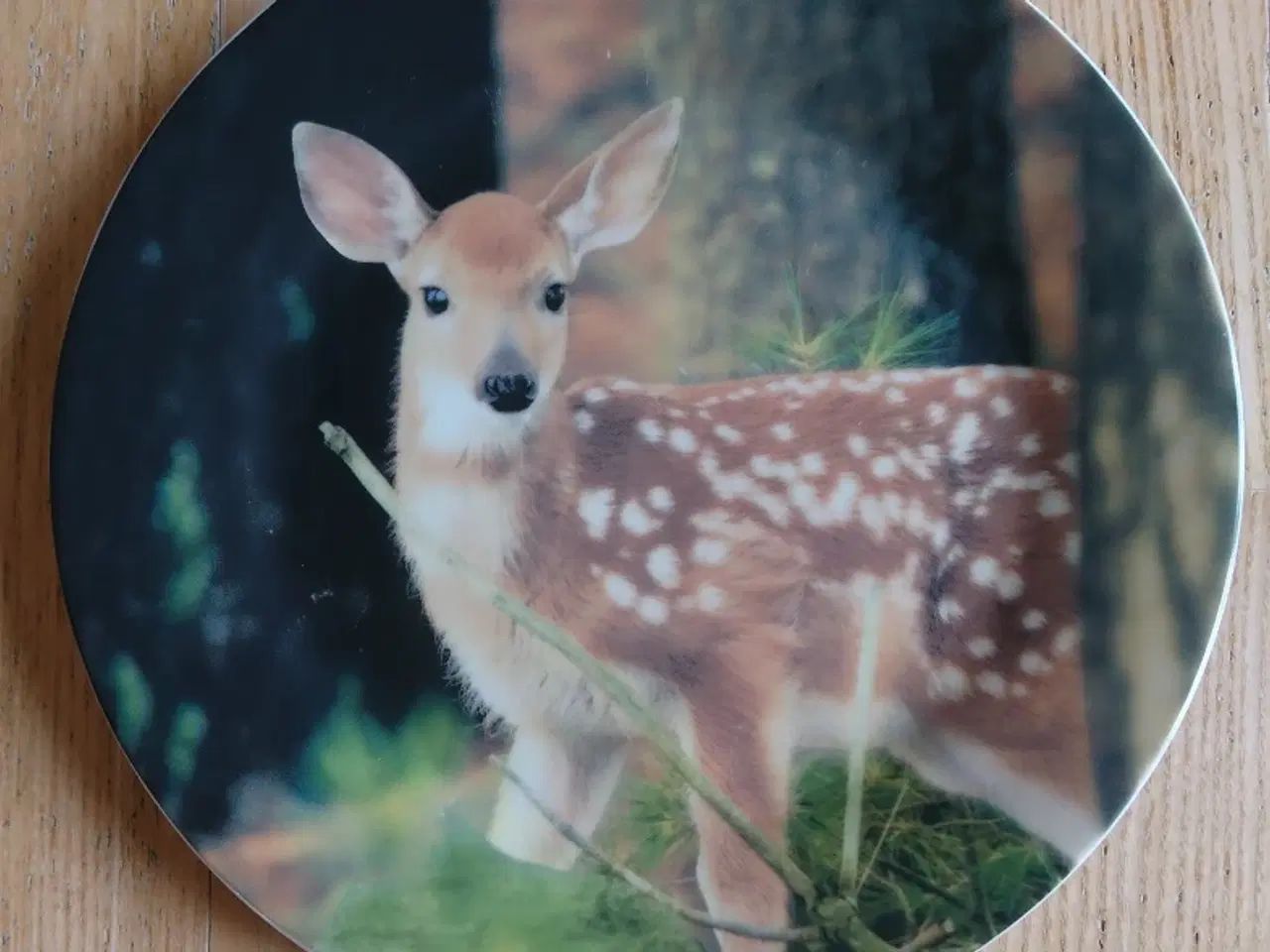Billede 1 - Bedårende tallerken med Bambi/hjortekid