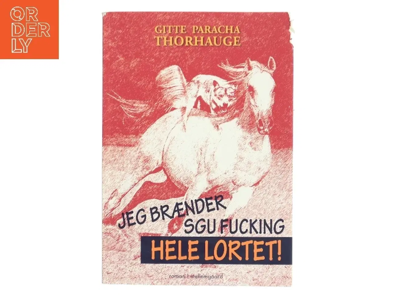 Billede 1 - Jeg brænder sgu fucking hele lortet! af Gitte Paracha Thorhauge (Bog)
