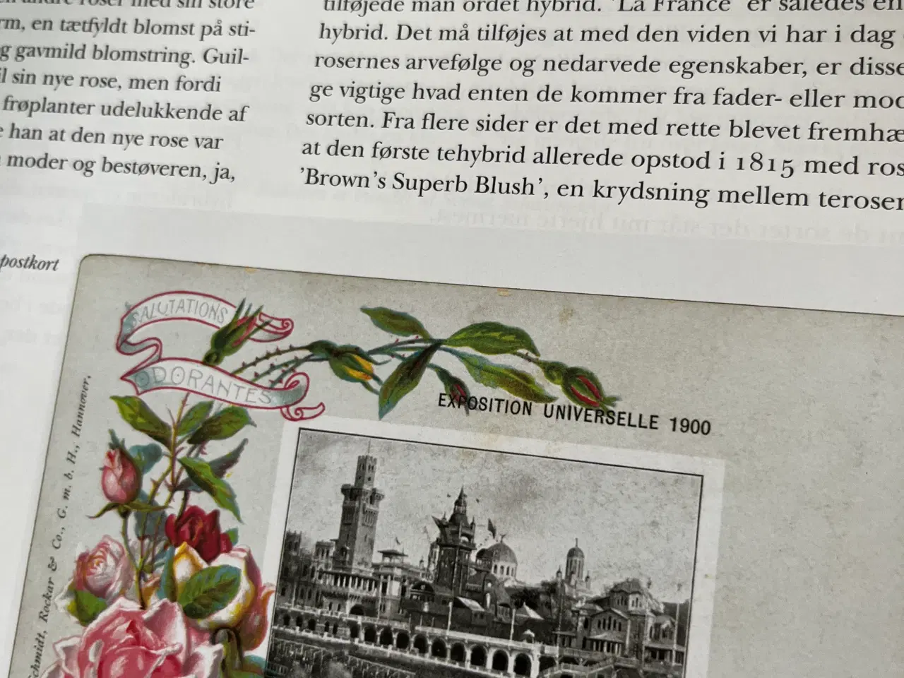 Billede 10 - GHITAS ROSER & HISTORISKE ROSER - begge samlet 95