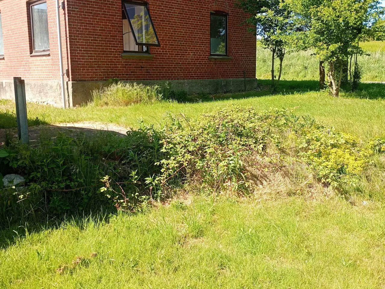 Billede 2 - Landejendom med 1 hektar jord 