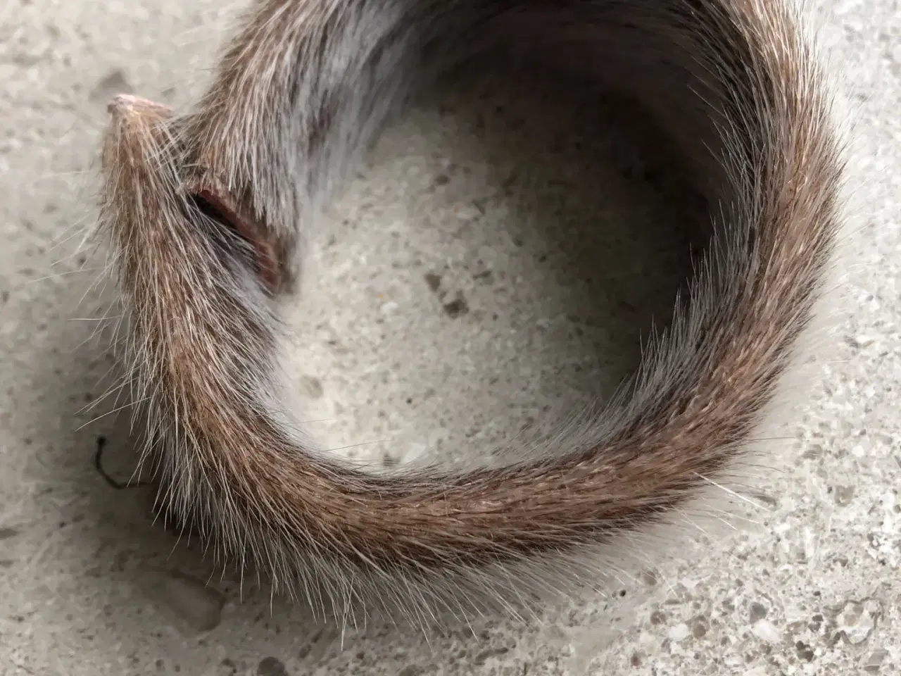 Billede 1 - Armbånd af pels