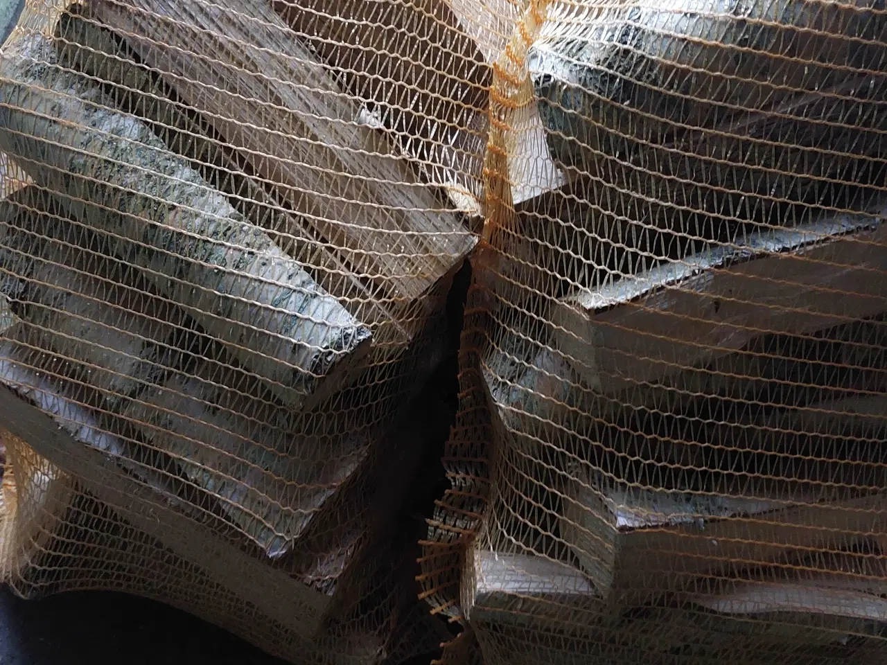 Billede 2 - Tørt birketræs brænde