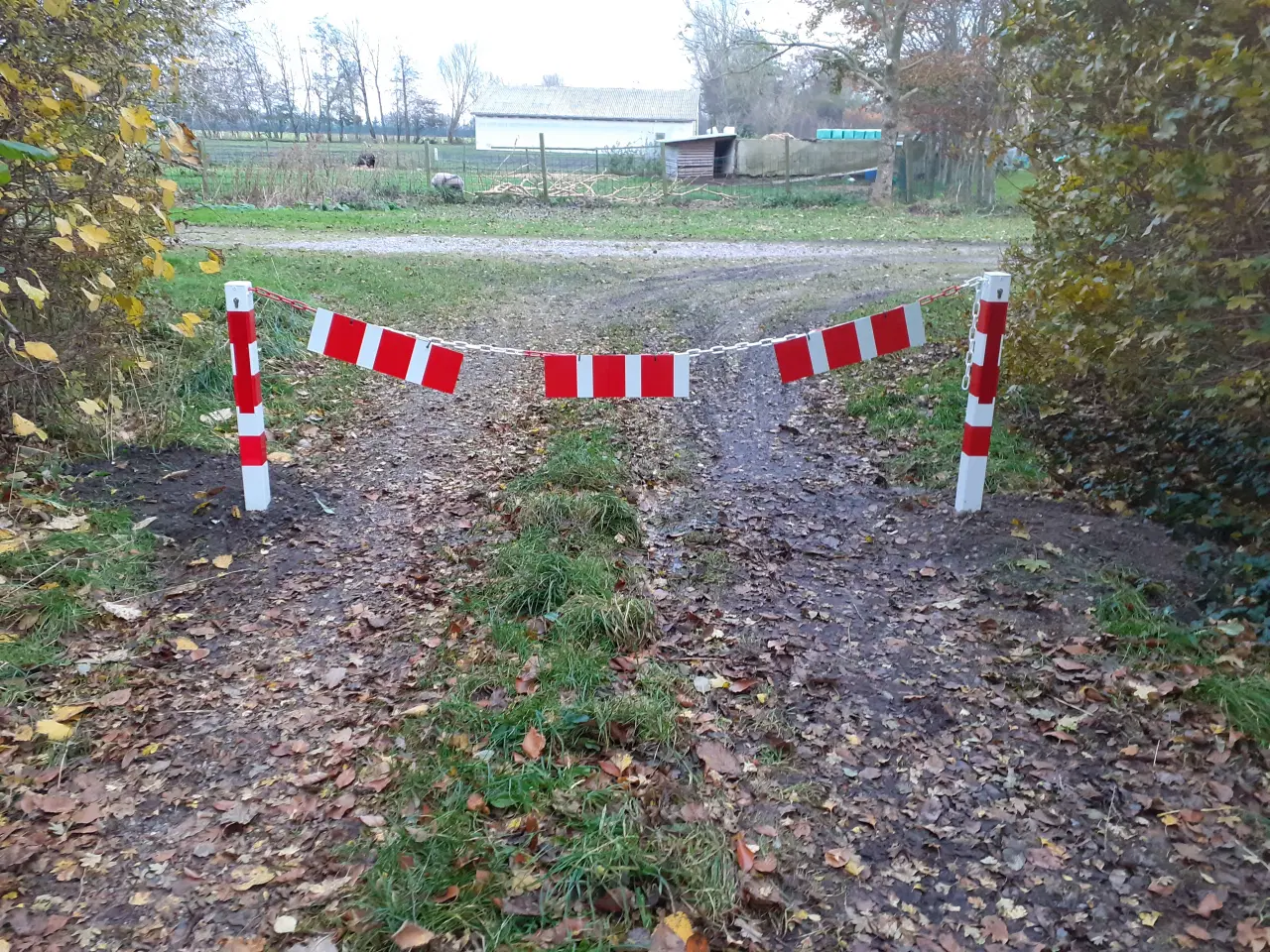 Billede 1 - Vejspærring med godkendte pullerter