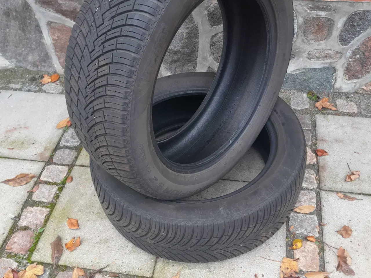 Billede 1 - 2 stk Helårsdæk 235/50-19