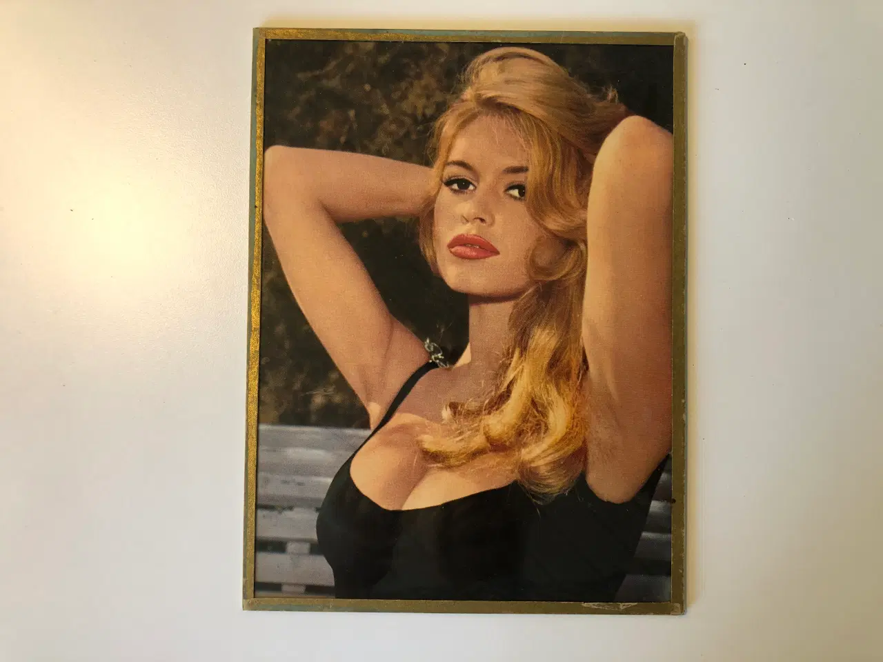 Billede 1 - Billede af Brigitte Bardot