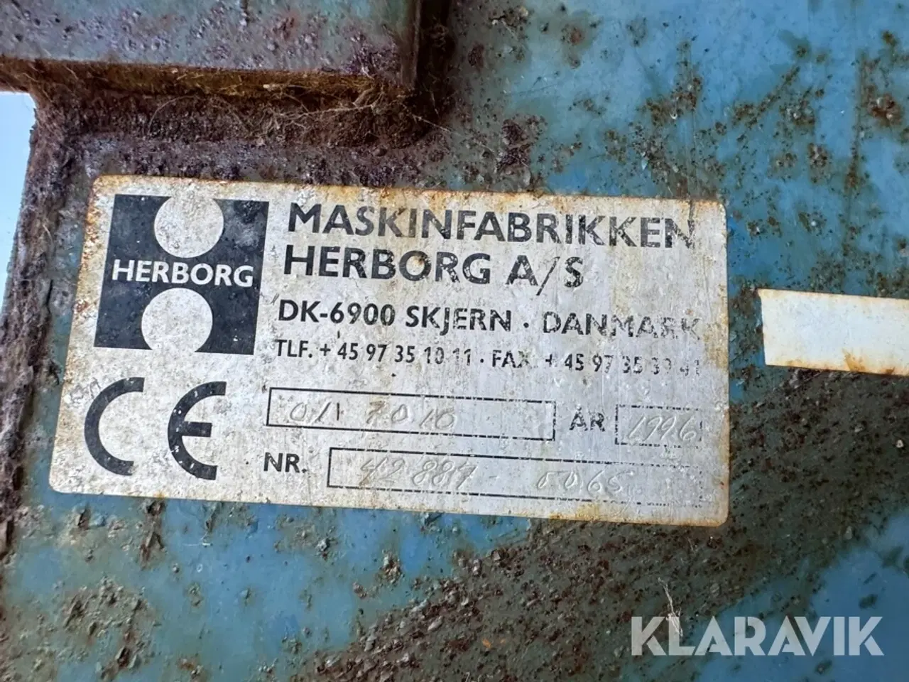Billede 3 - Sellerirenser Herborg