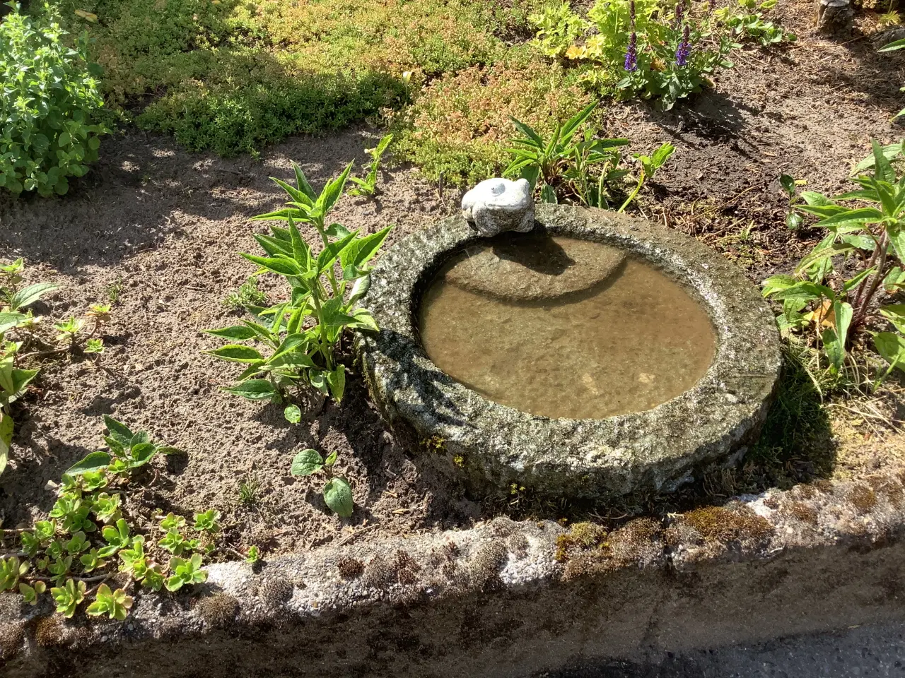 Billede 1 - Fuglebad granit