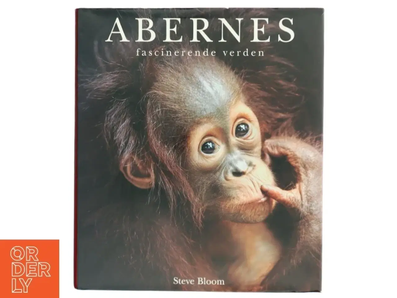 Billede 1 - &#39;Abernes fascinerende verden&#39; af Steve Bloom (f. 1953) (bog)