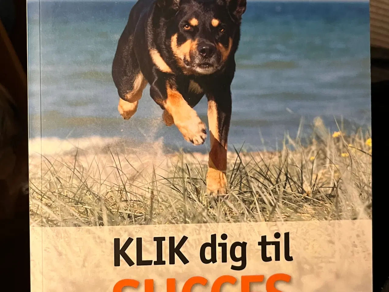 Billede 15 - Hundetræning, adfærd og viden om hunde