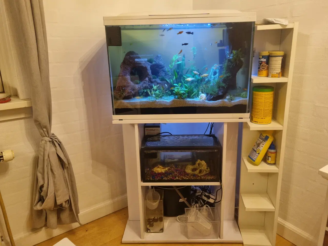 Billede 1 - Akvarium 100L SuperFish komplet setup 