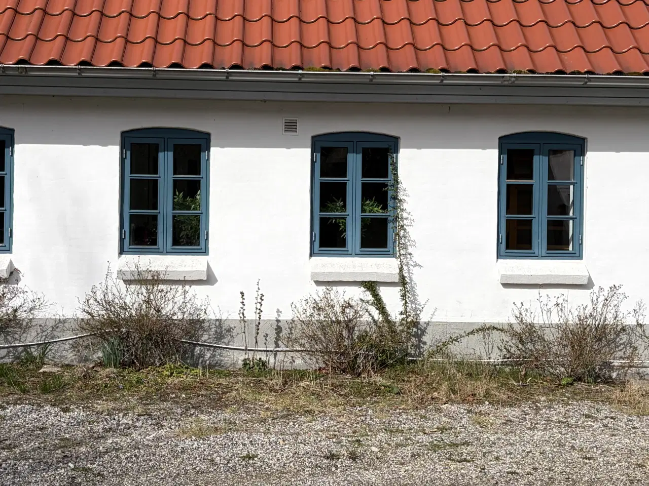 Billede 1 - 15 stk sprossede vinduer/døre - termoruder