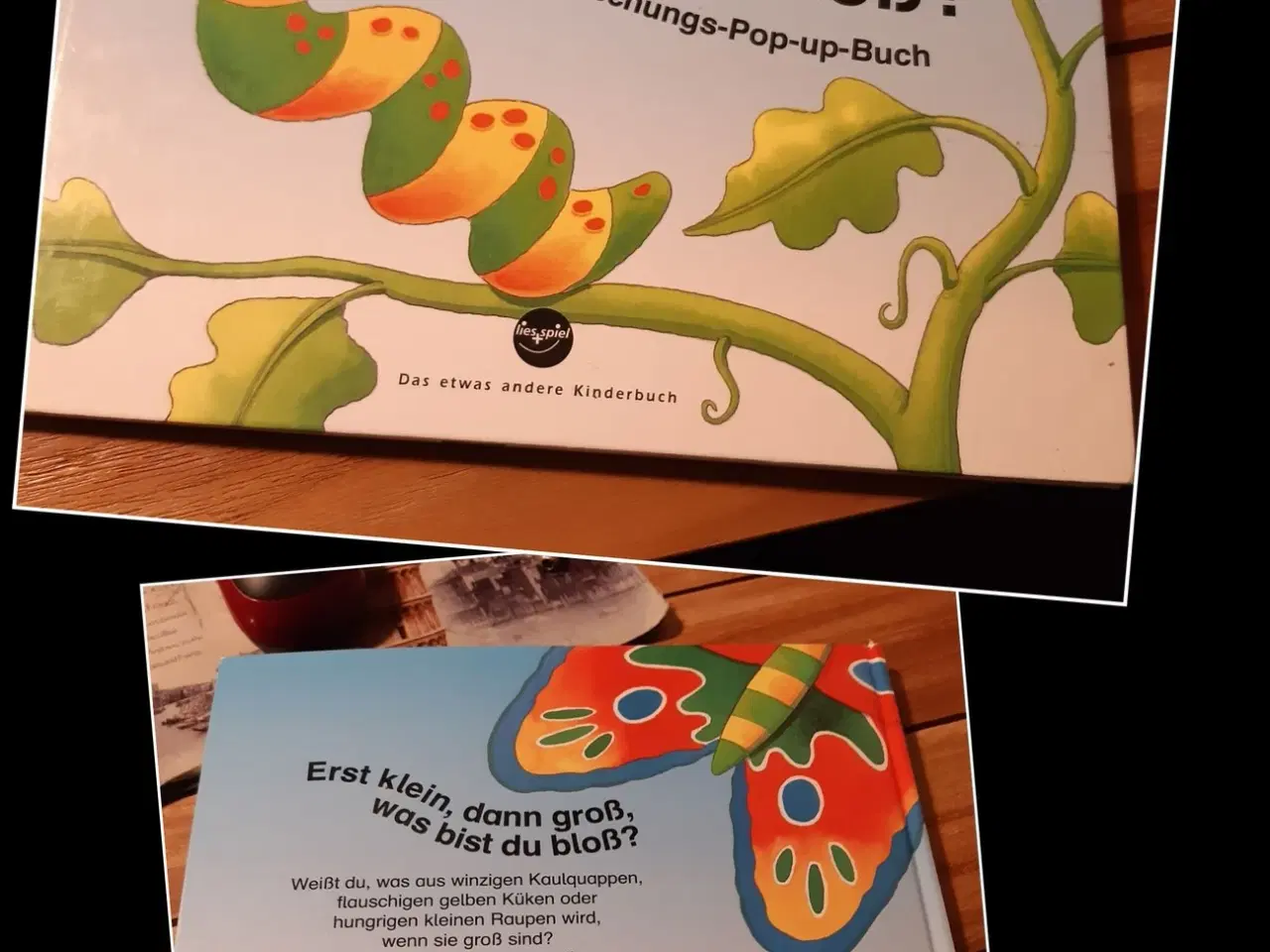 Billede 1 - Først lille, så stor .. oversat fra tysk