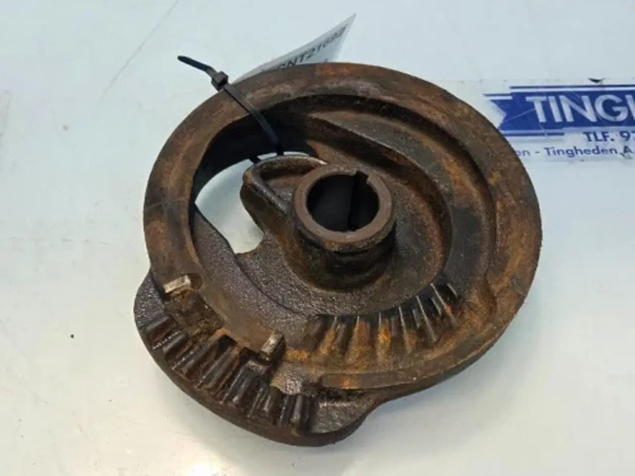 Billede 26 - New Holland BB920 Kamskive 86577790