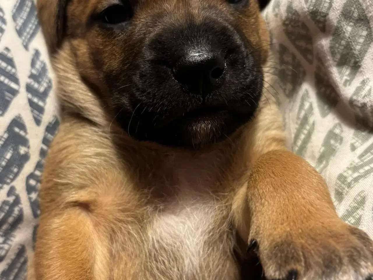 Billede 4 - FamilyGuardianMix - Love bombs 🩶💣