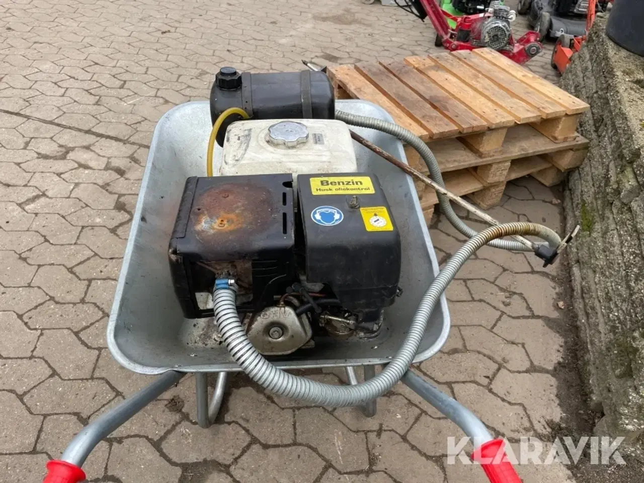 Billede 5 - Muldvarpe gasser