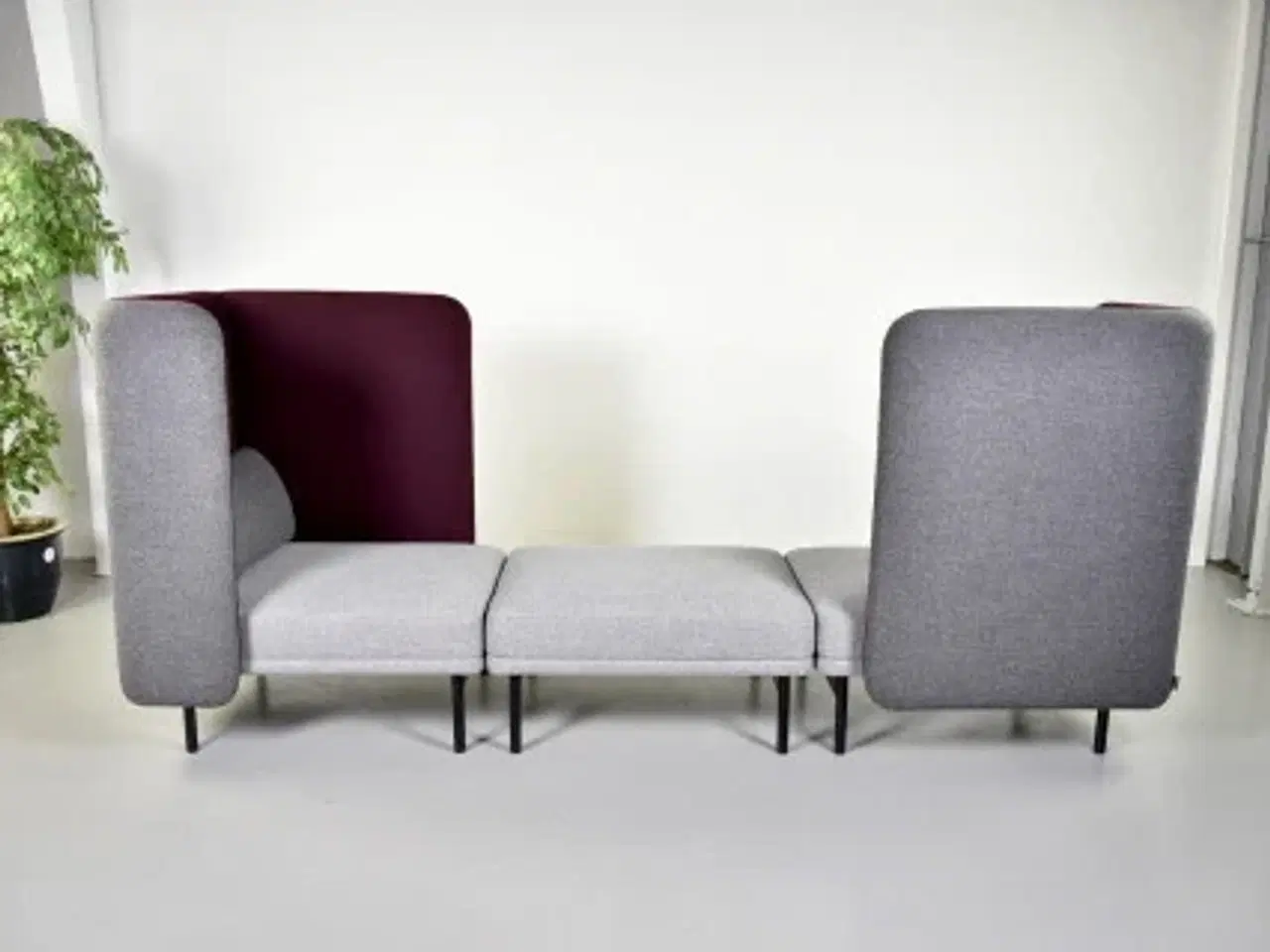 Billede 3 - Softrend frankie lydabsorberende sofa i grå og bordeuax