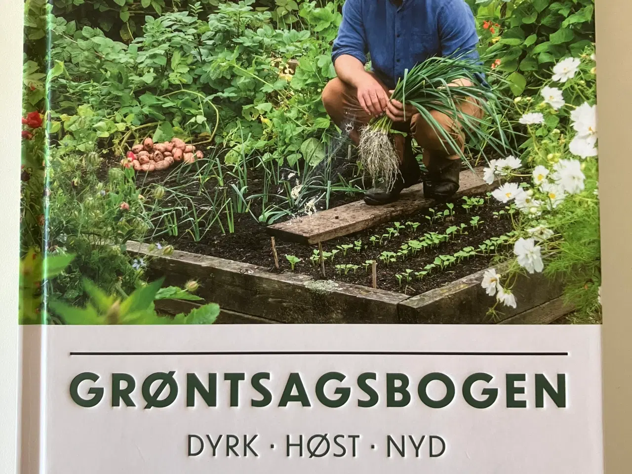 Billede 1 - Grøntsagsbogen - dyrk, høst, nyd af Huw Richards