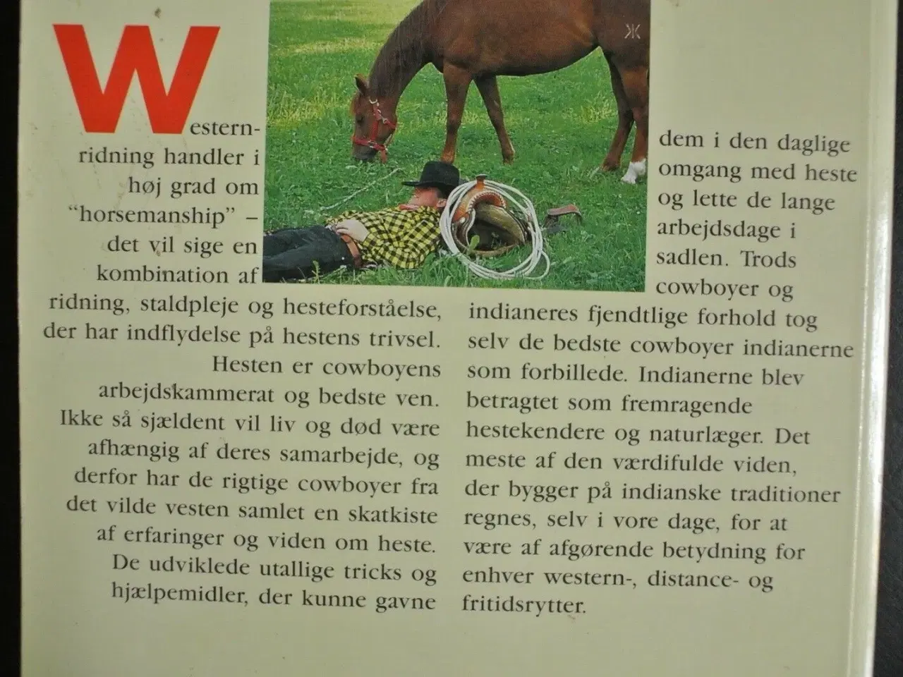 Billede 2 - westernridning - tips og tricks, af renate ettl, e