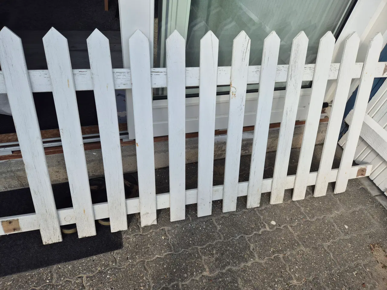 Billede 1 - Havehegn _ Gratis