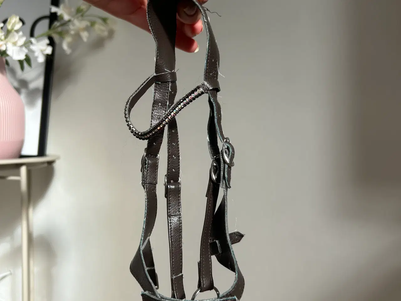 Billede 5 - 🖤🐎Kæphest+udstyr🐎🖤