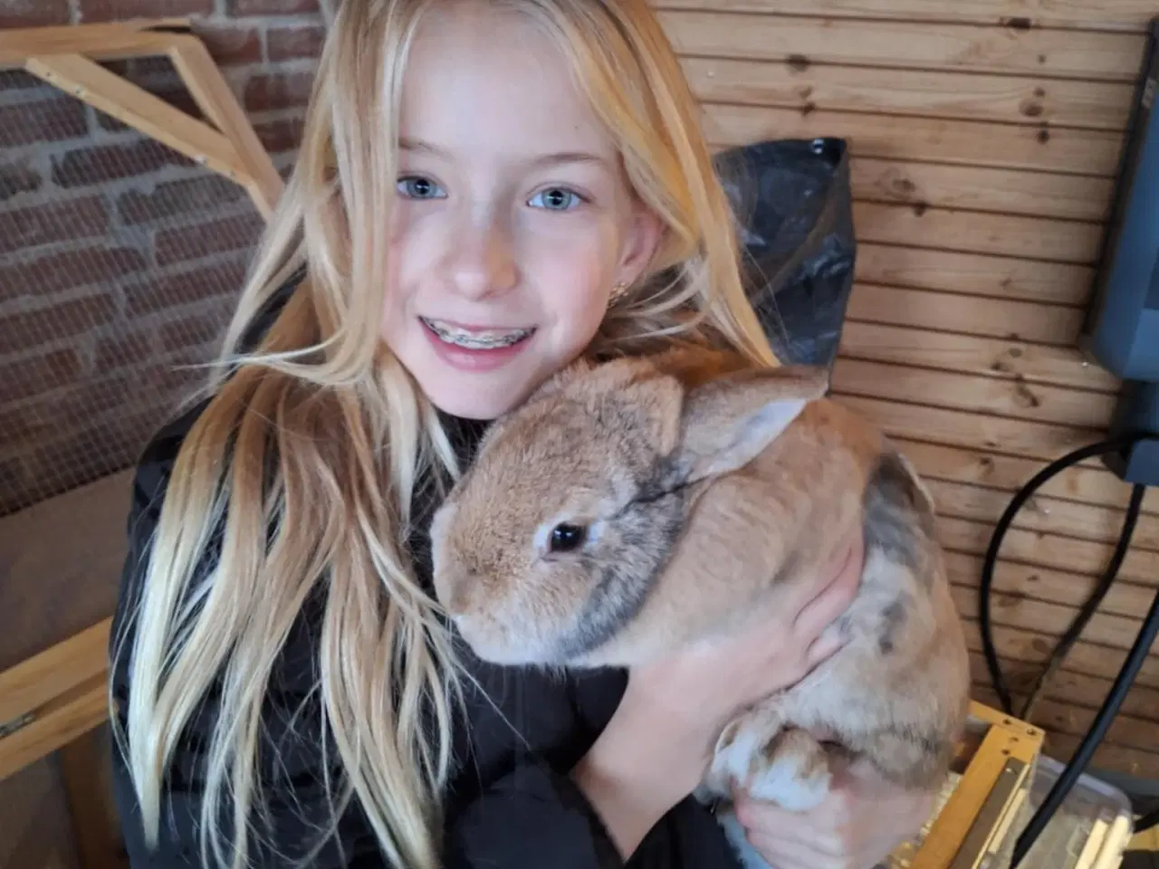 Billede 2 - To børnevenlige kaniner søger nyt kærligt hjem