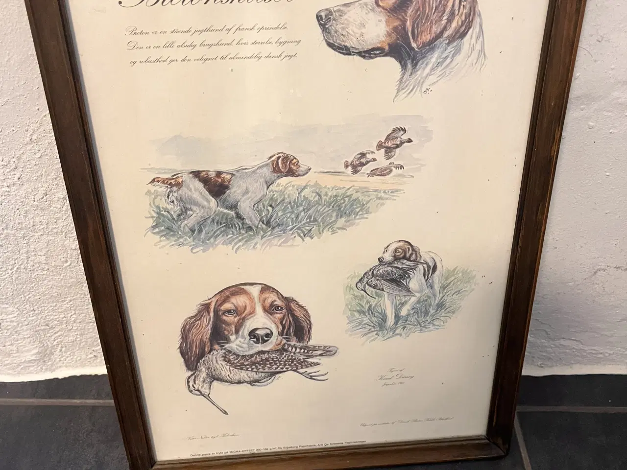 Billede 1 - Breton skitse prøvetryk 