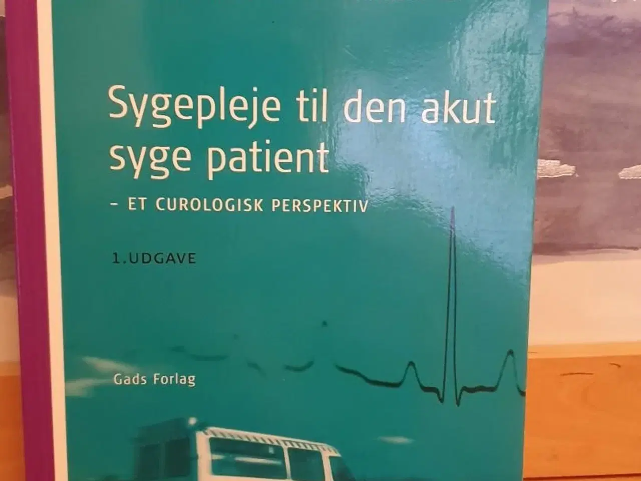 Billede 1 - Sygepleje til den akut syge patient. 