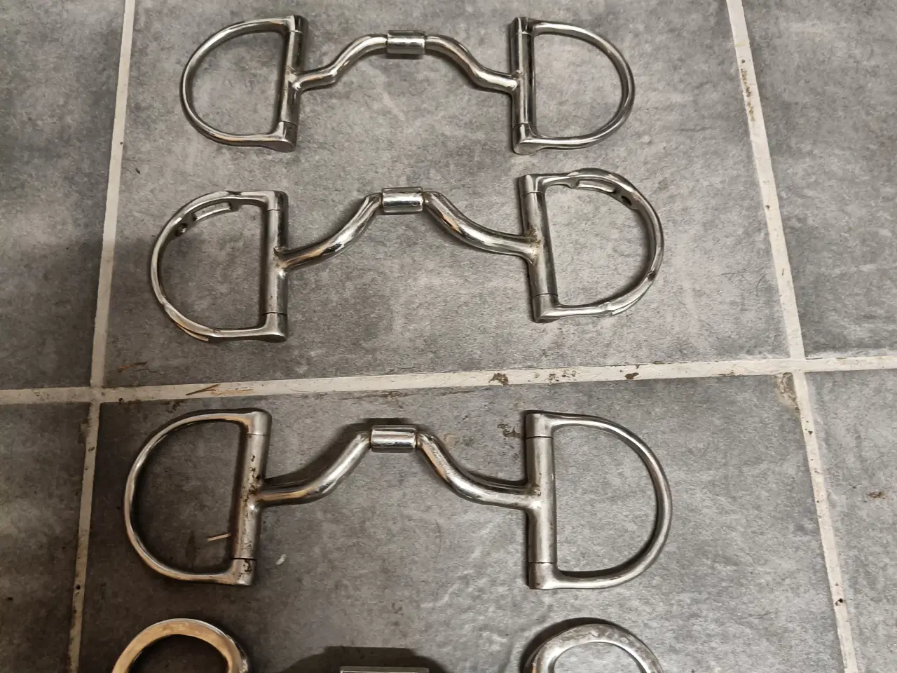 Billede 2 - Meyler bid til hest