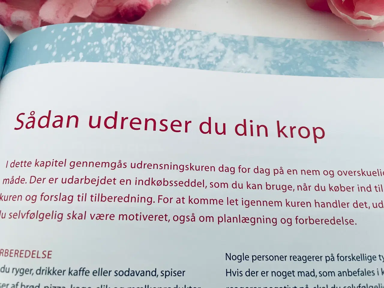 Billede 10 - Sund nu - afgiftning af krop og sjæl