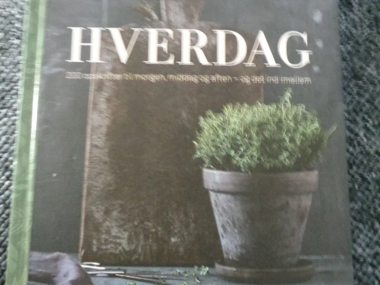 Billede 1 - Hverdag