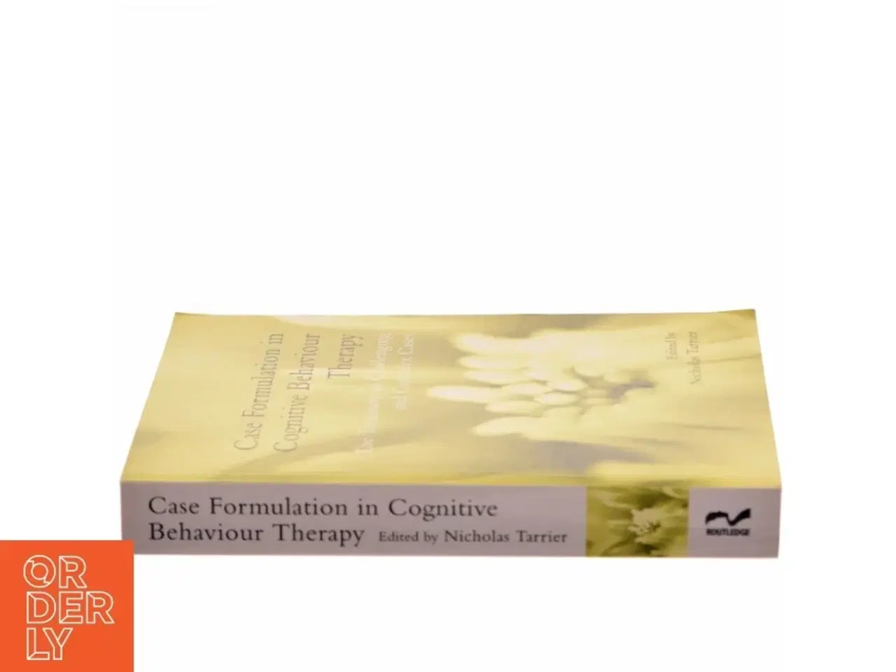 Billede 2 - Case formulation in cognitive behaviour therapy : the treatment of challenging and complex cases (Bog)