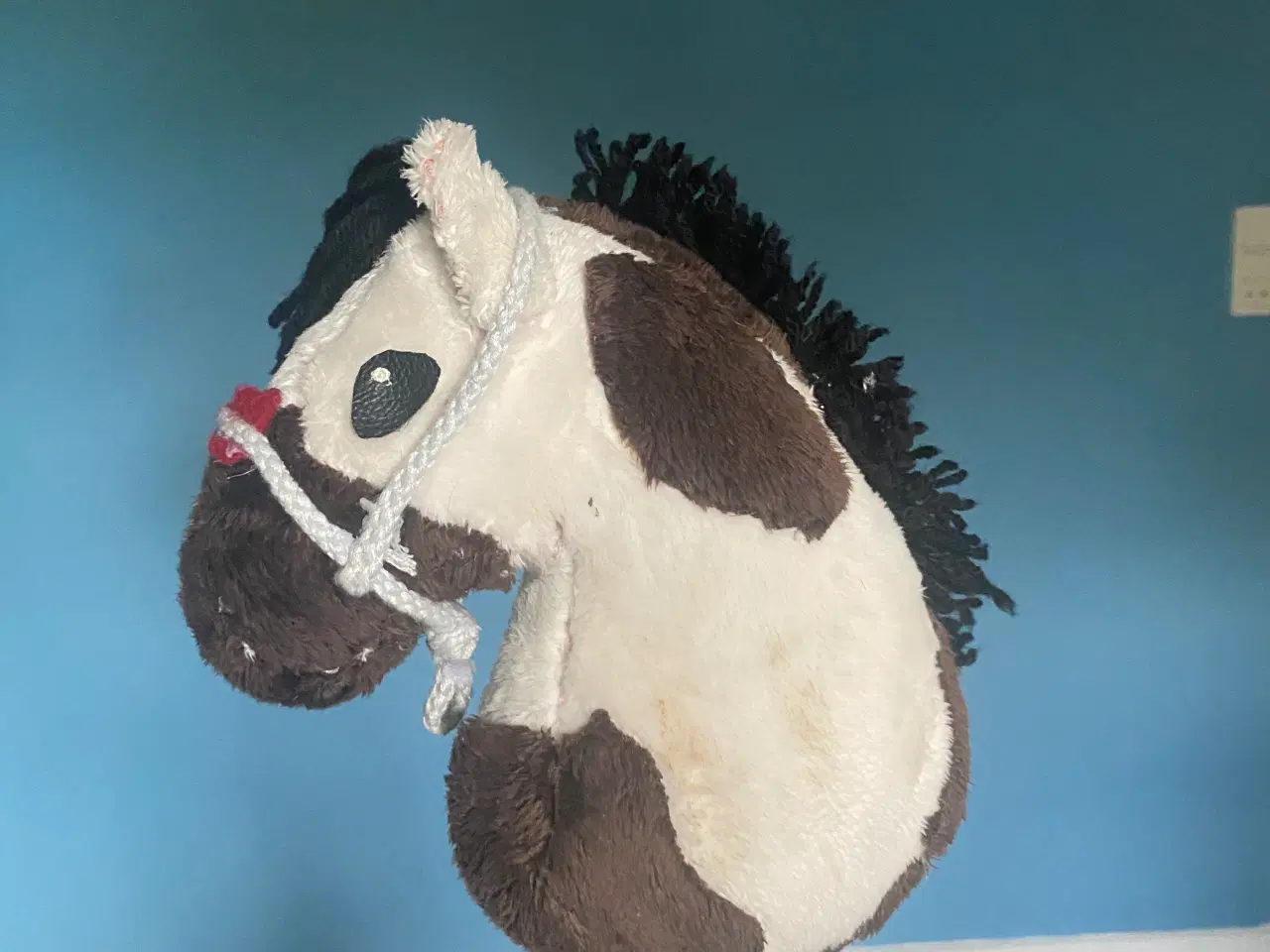Billede 6 - Kæphest, hobbyhorse føl