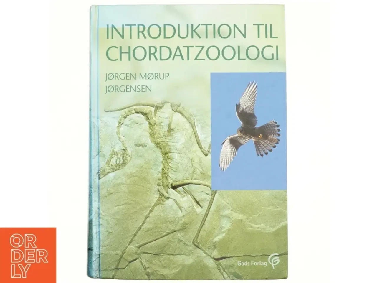 Billede 1 - Introduktion til chordatzoologi af Jørgen Mørup Jørgensen (Bog)