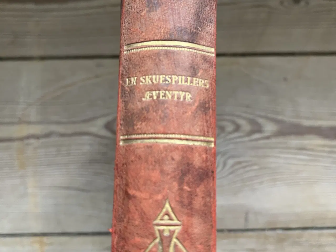 Billede 1 - En skuespillers eventyr