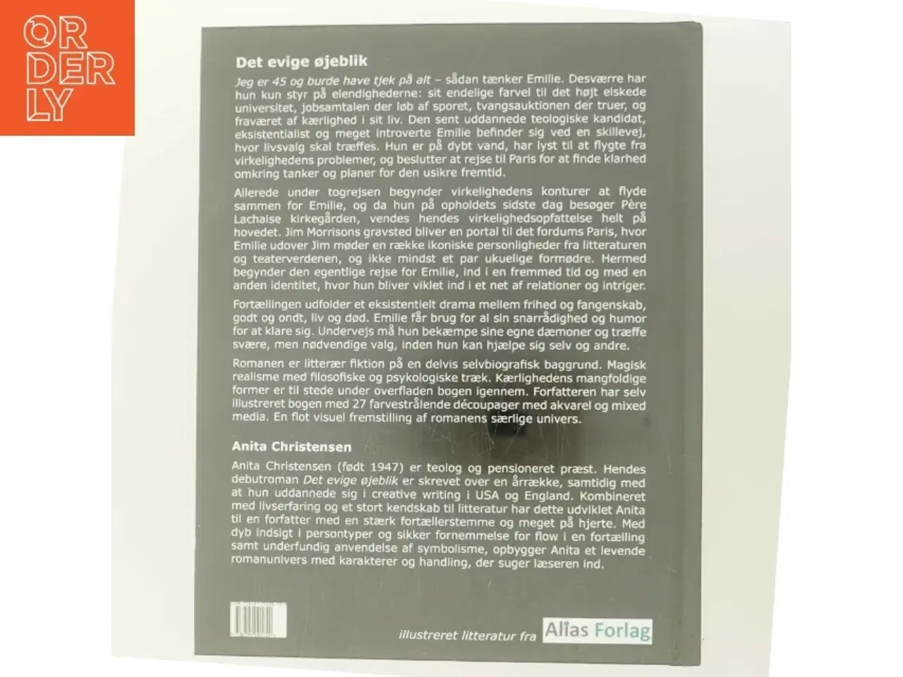 Billede 3 - Det evige øjeblik : roman af Anita Christensen (f. 1947) (Bog)