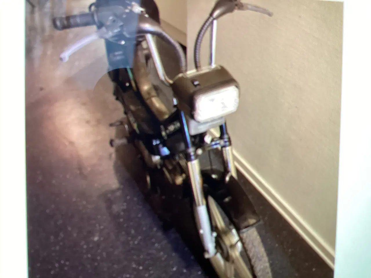 Billede 3 - Puch Maxi      