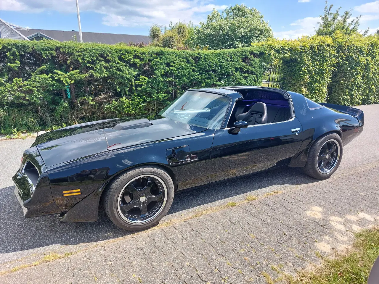 Billede 3 - Pontiac trans am 6.6L
