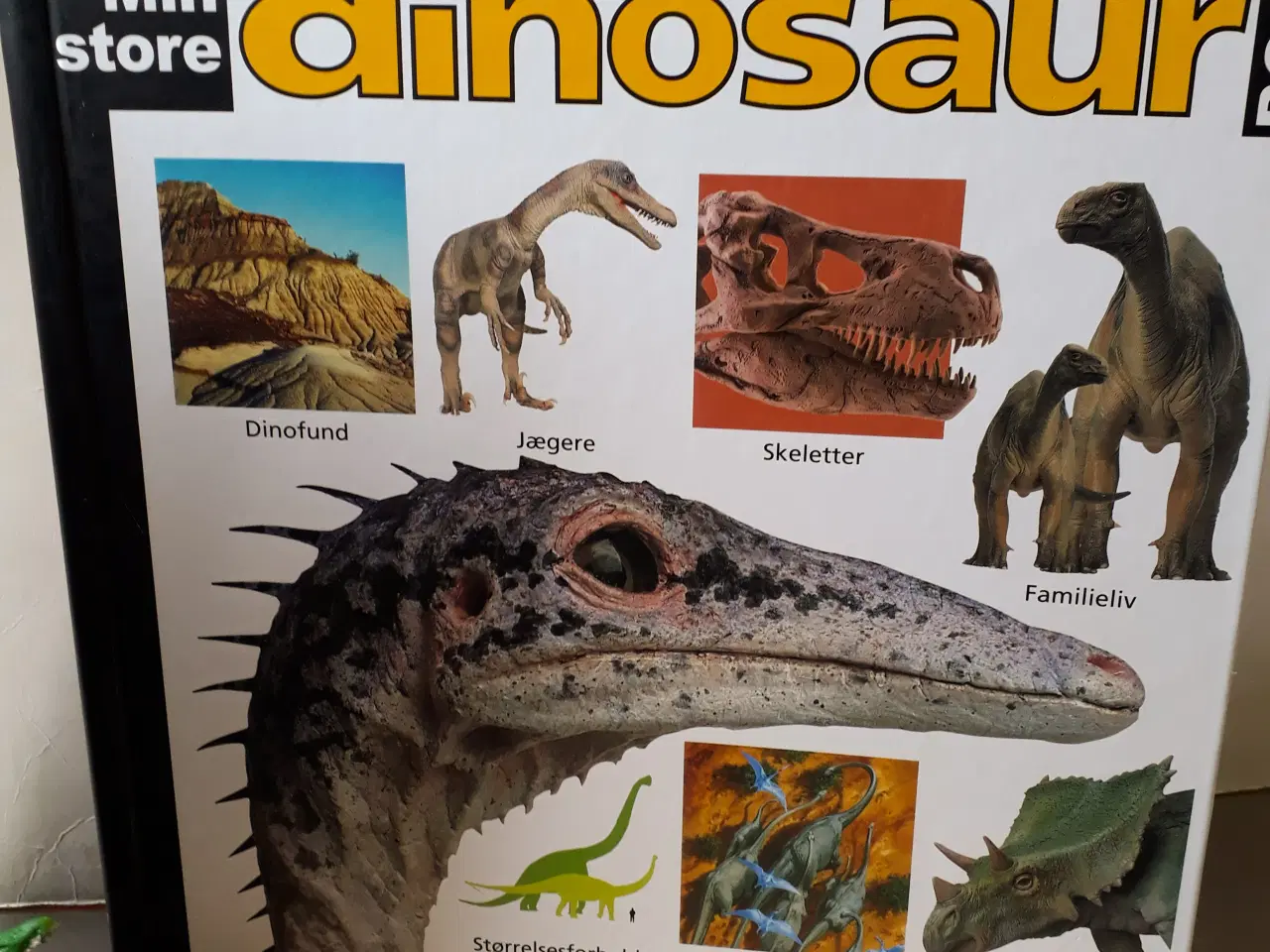 Billede 2 - 2 Dino Bøger, 6 Dinosaur