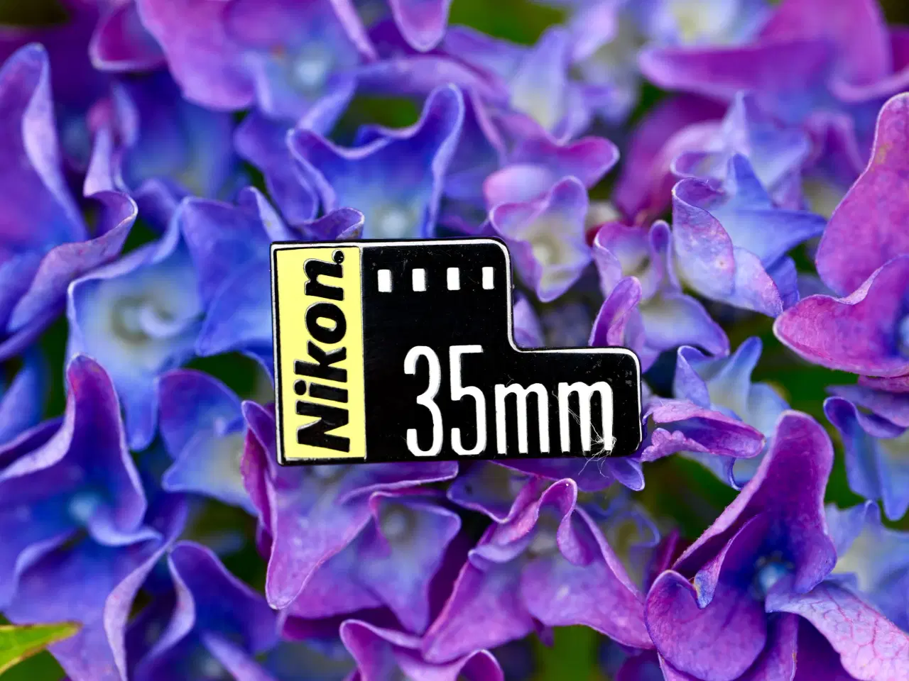 Billede 1 - Logo Nikon 35mm film ( Jakkenål)