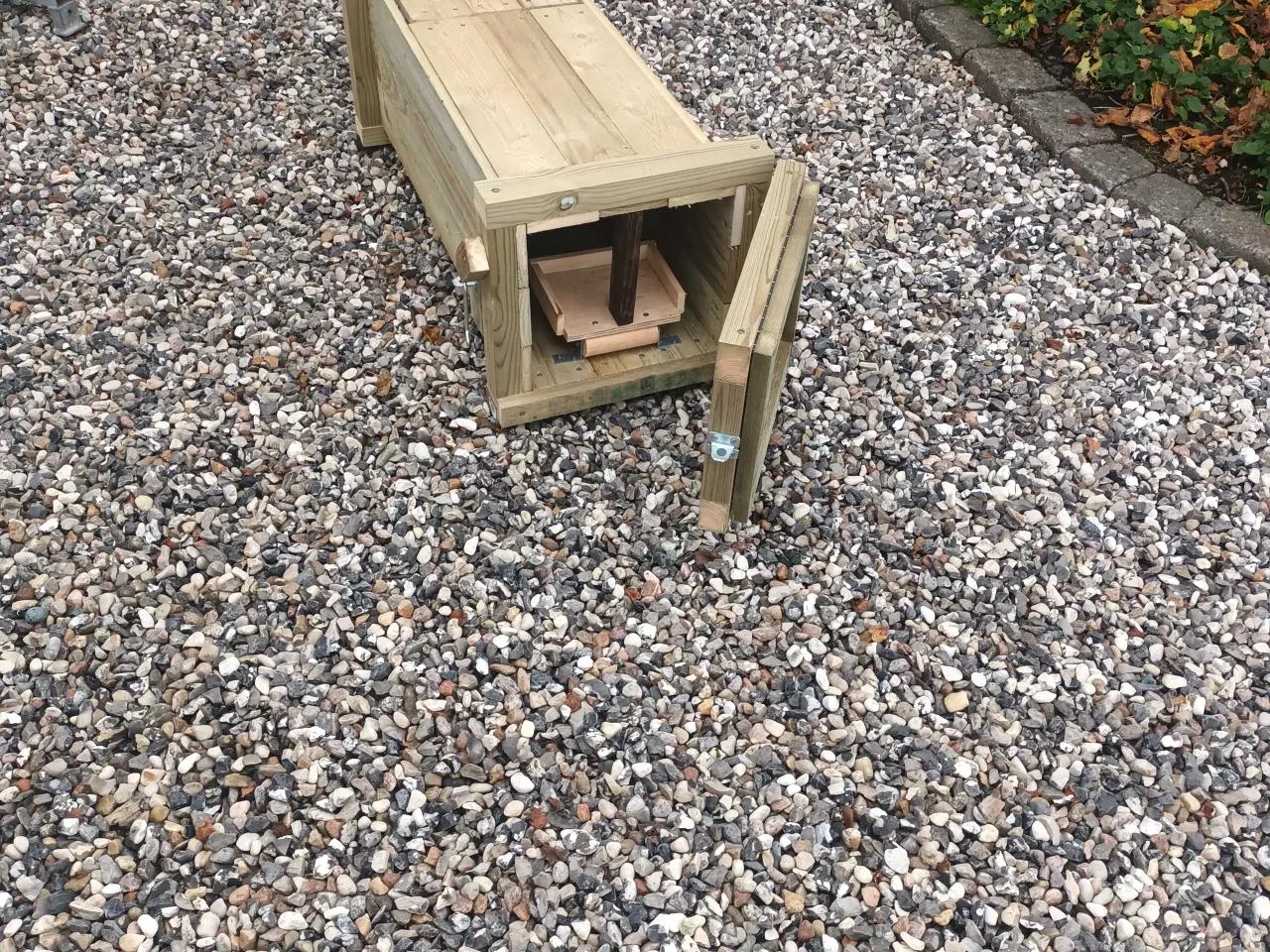 Billede 1 - Mårhund hvalpe fælde