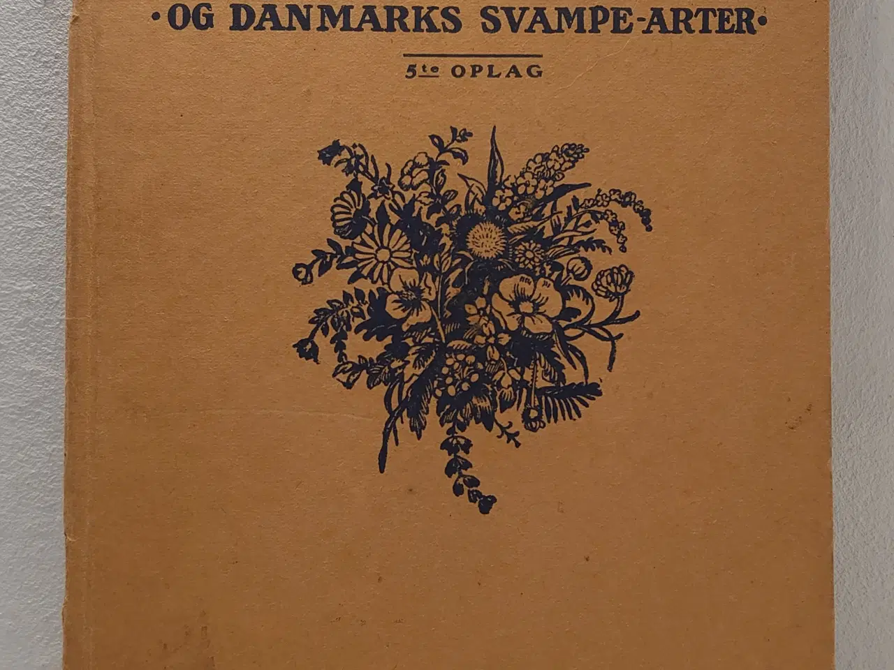 Billede 1 - Danmarks Flora og Danmarks  Svampe-arter. Mønsted.