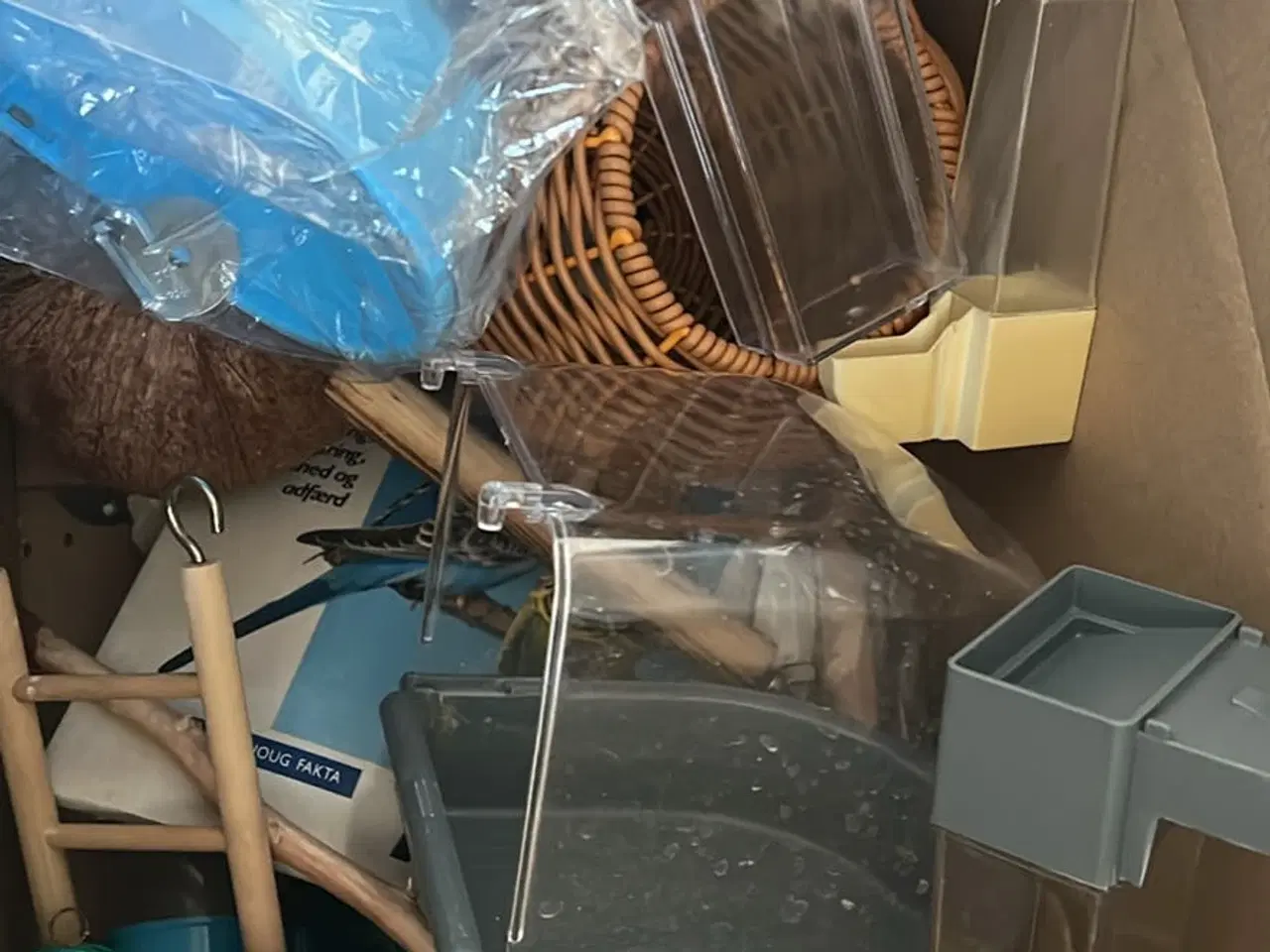 Billede 4 - 3 små undulater 